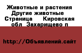 Животные и растения Другие животные - Страница 2 . Кировская обл.,Захарищево п.